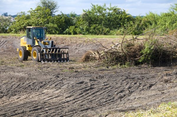 Bakersfield Land Clearing